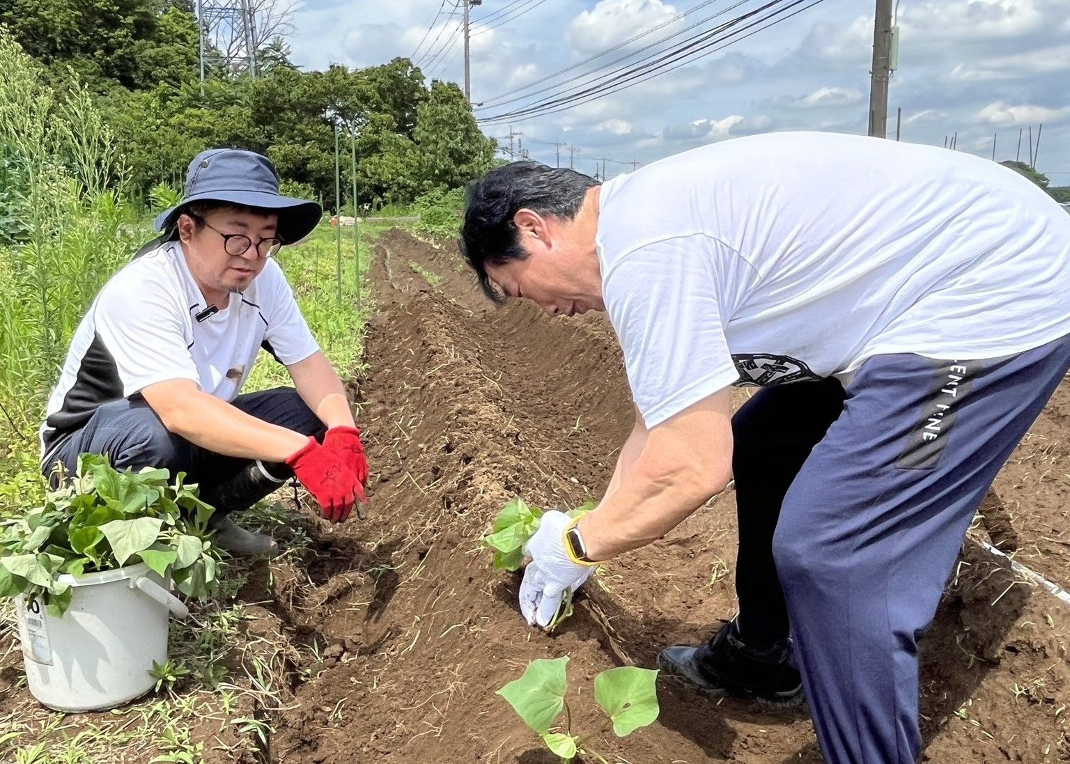 元プロレスラー・小橋建太、サツマイモの魅力を熱弁「干し芋が今のブーム」