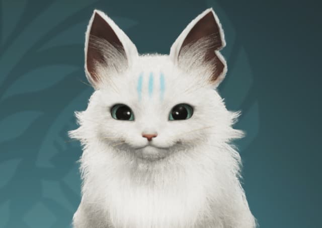 ホロライブ 白上フブキがモンハンワイルズのキャラクリに熱中！”すこん部”も完成…？