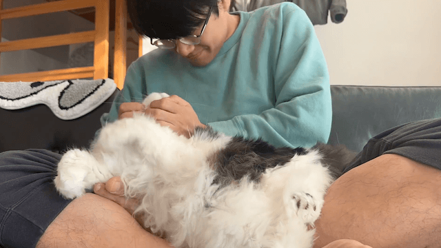 ミキ・亜生が結婚報告💐「猫5匹と人間2人で協力してがんばっていきます！」