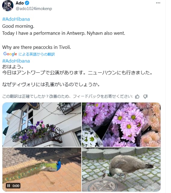 Ado、野生の孔雀？純粋な疑問が爆発