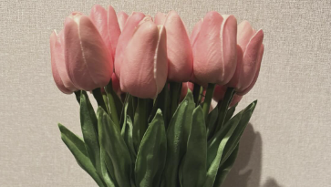 檜山沙耶、春を先取り「チューリップを飾りました」