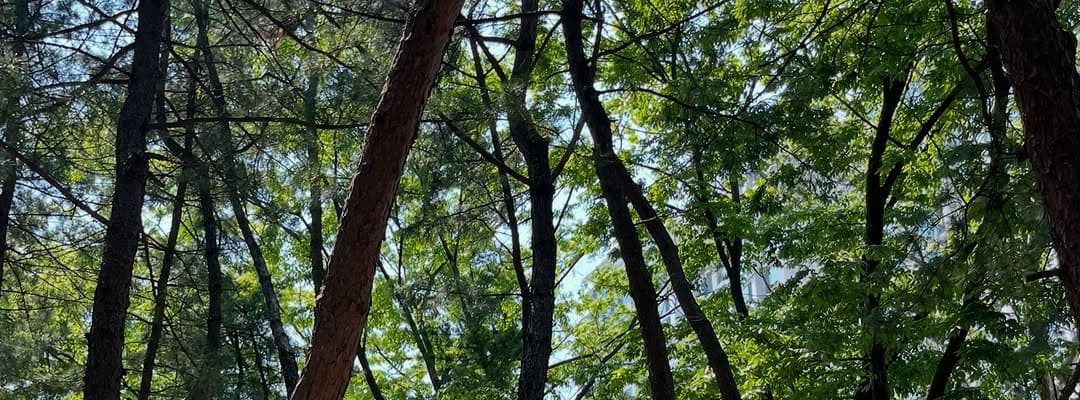 眞嶋優、韓国の公園でトレーニング姿を公開！「可愛すぎる」と話題に