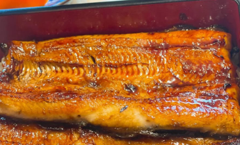 佐々木加奈子、小田原の名店で絶品うなぎに舌鼓「本当に美味しい！」