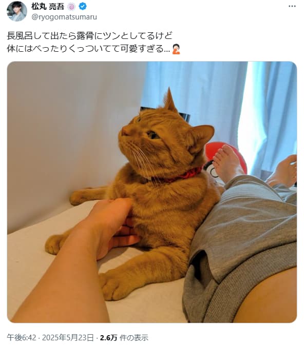 松丸亮吾「ツンデレ天使」の愛猫リド君にデレデレ！
