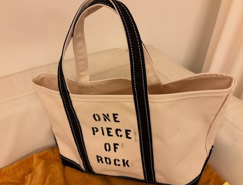 「泊まり用バッグ問題、ついに解決！」東野幸治がドハマり！滋賀デニムのトートが頼もしすぎると話題