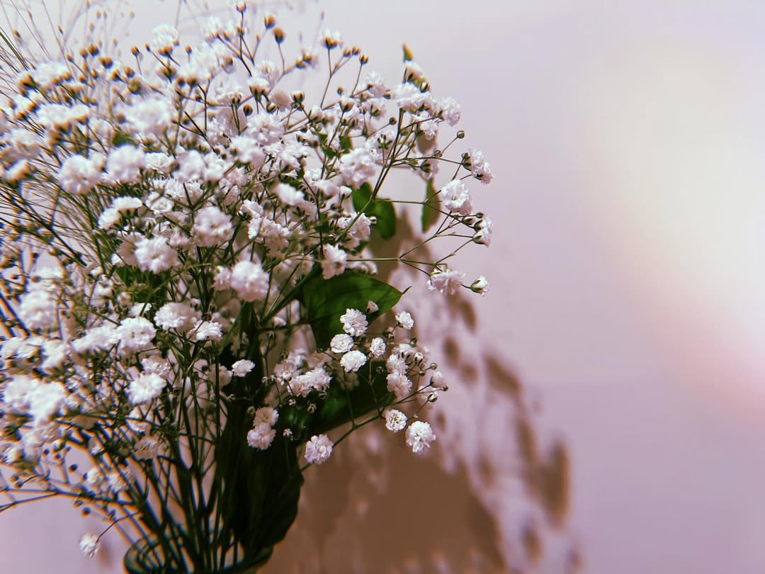 華優希が宝塚卒業4年を報告「これからもまっすぐ歩んでいきたいです」