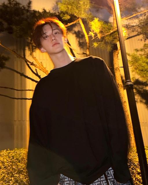 SEVENTEEN・ホシと公園デート!?彼氏風ショットが話題🌟🐯