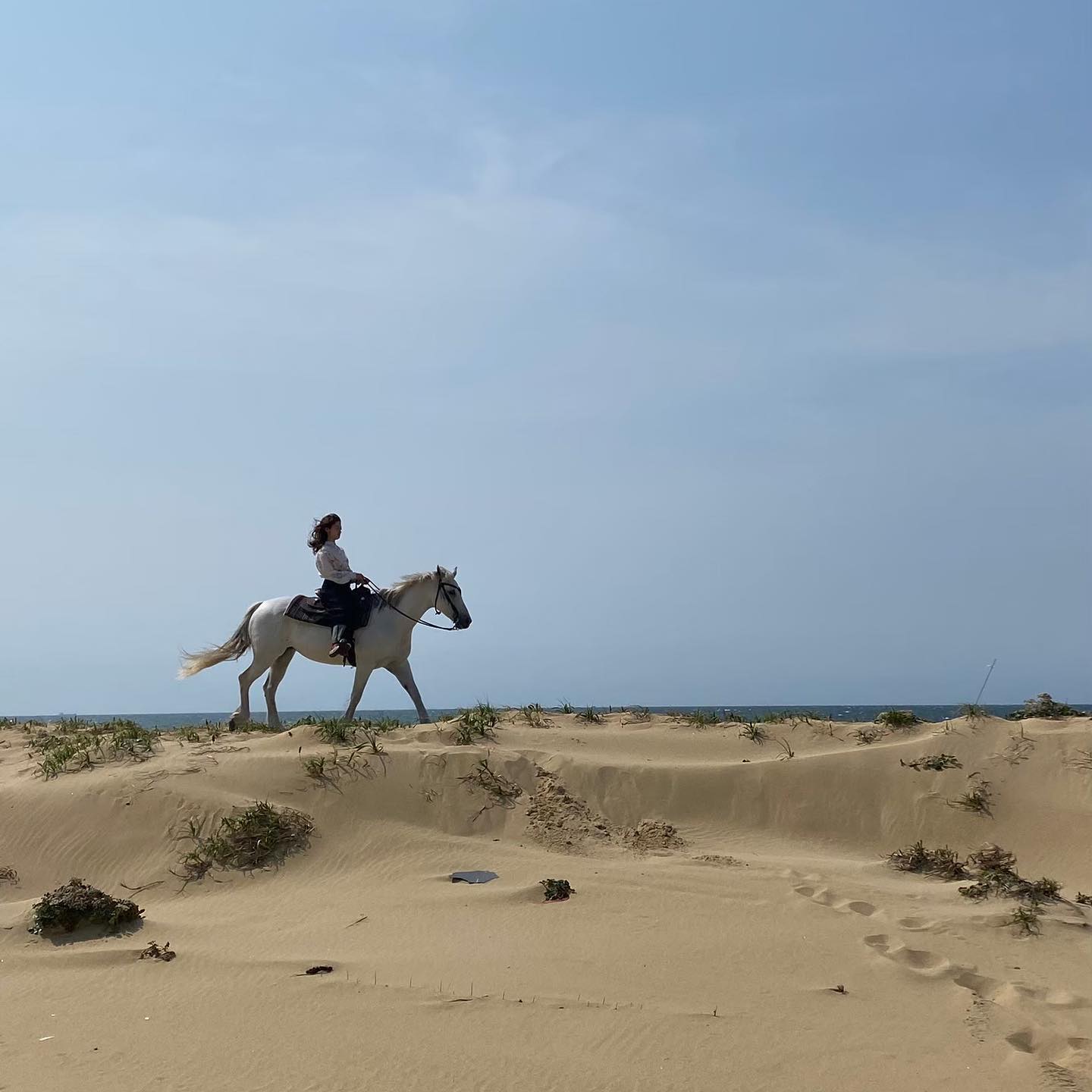「リアルお姫様…！！」橋本環奈さんの乗馬姿が大反響🐴‼︎