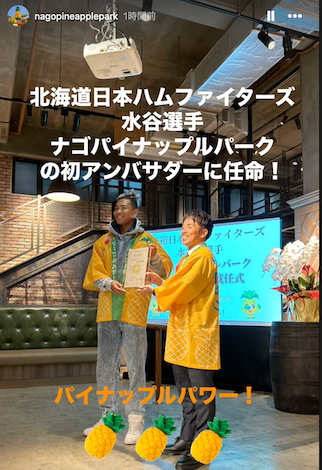 水谷瞬が、パイナップルアンバサダーに