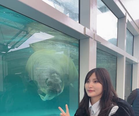 「虚無顔吹いた」AKB48 福岡聖菜とセイウチのユニーク2ショットにファンも笑顔