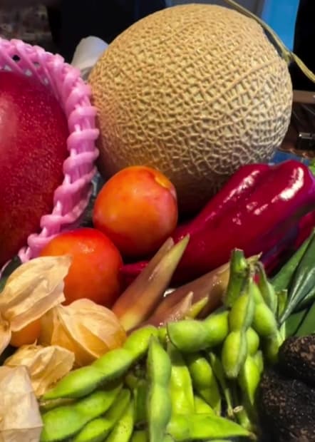 美人ヴァイオリニスト〇〇、赤坂の“隠れ家ディナー”で魅せた上品すぎる夜の素顔にファン惚れ惚れ