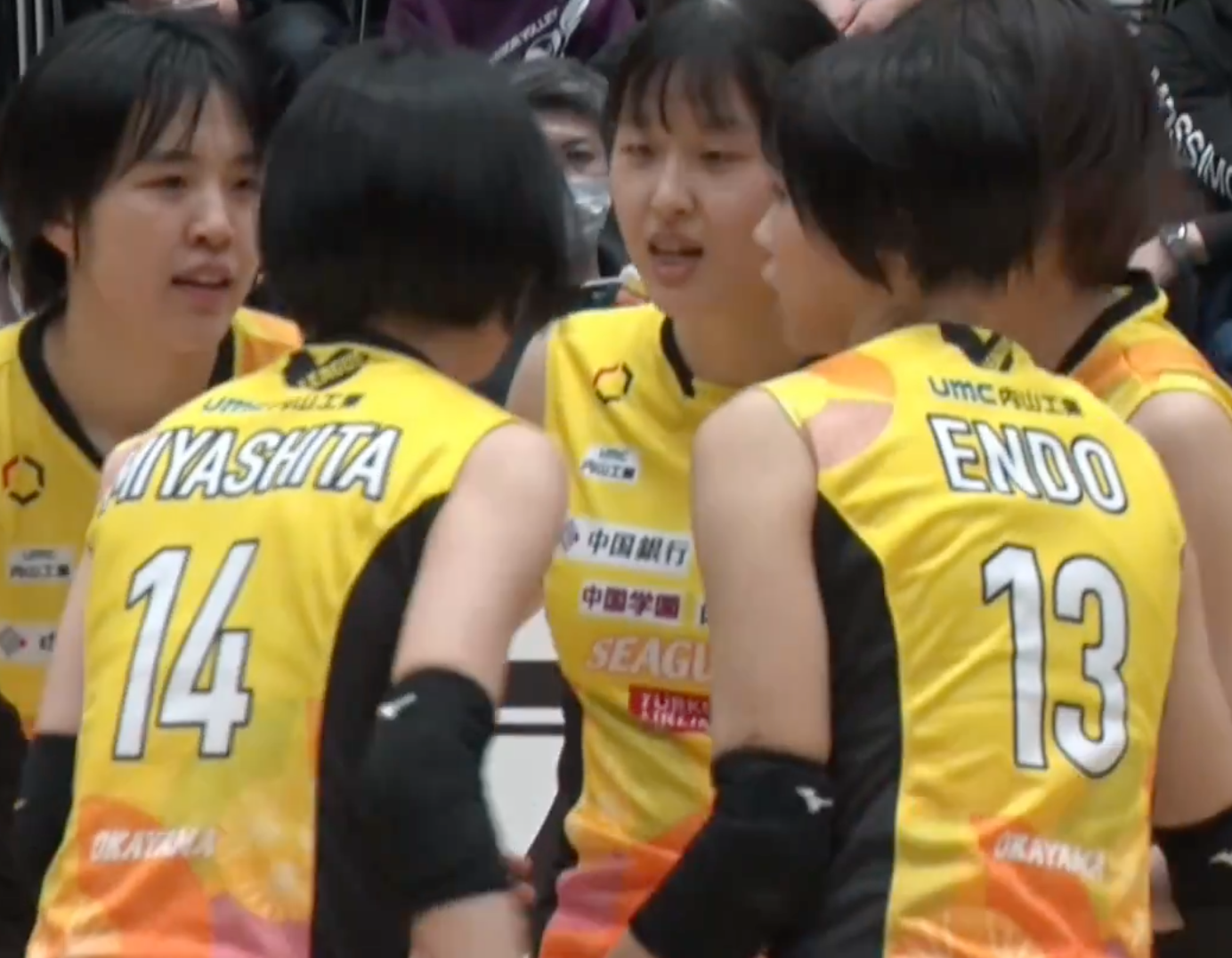 Ｖリーグ女子　岡山シーガルズ vs. PFUブルーキャッツ 2022/3/12【ハイライト】
