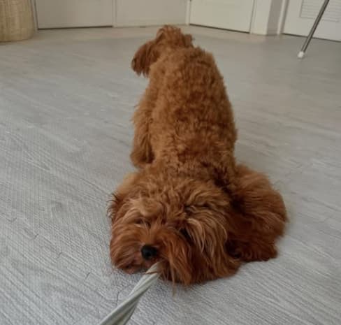 アンガールズ山根良顕が大物を釣り上げた！？ほっこりショットを投稿