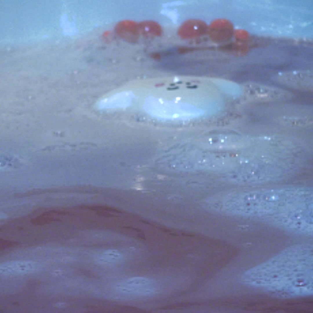 「生き様も表現も最高です」あのちゃんの相談DMへの回答がかっこよすぎると話題に