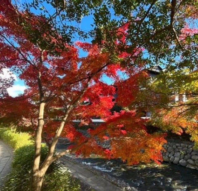 ペナルティのヒデが今年も修善寺温泉に行けるようにがんばる！