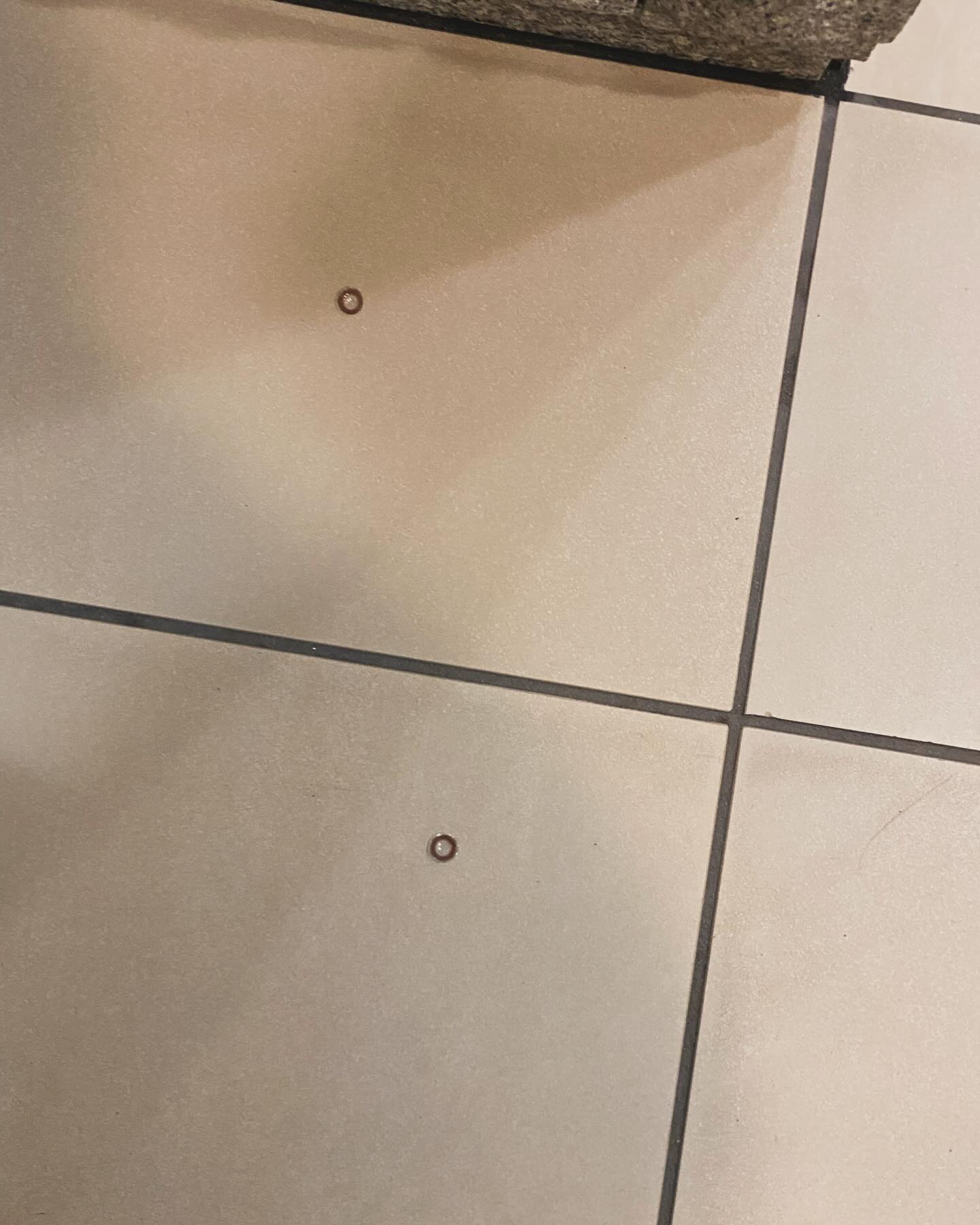 川村エミコがビルで不思議な落とし物を発見👀