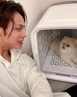 「かわいいの渋滞すぎます」上田竜也が最高の買い物に大喜び