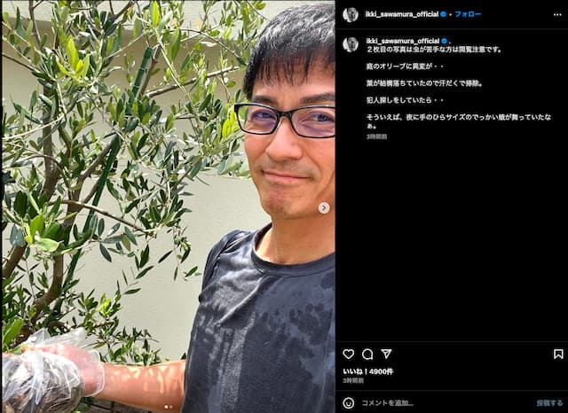 庭のオリーブに夢中？沢村一樹、意外な休日の過ごし方をInstagramで公開