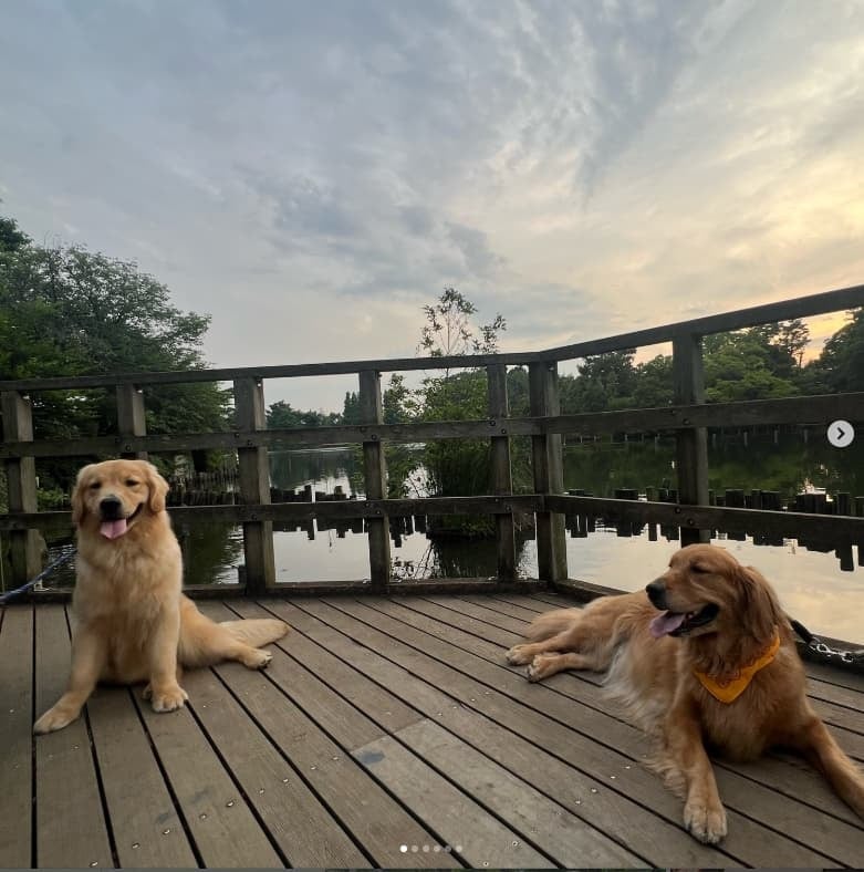 高橋ひとみ、自慢のワンコと散歩で「かわいい」殺到！！