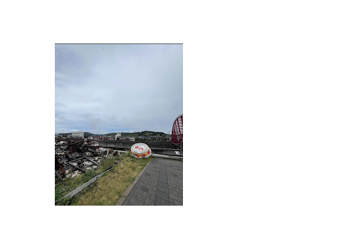 女優の土屋太鳳が半年経った能登半島地震の復興を願う。