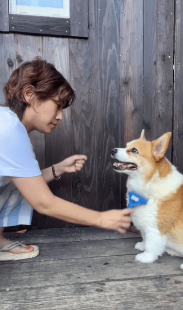 「毛が一生出てくる」IMALU、愛犬のブラッシング動画が可愛すぎると話題！