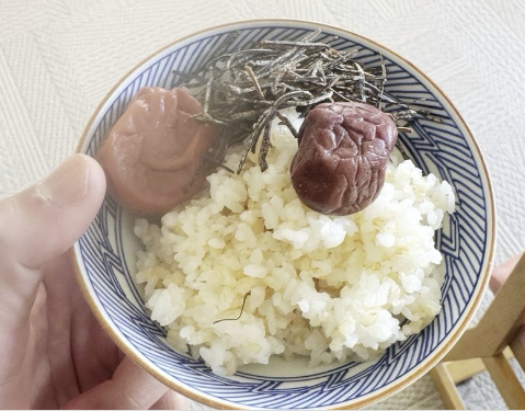 市川團十郎、シンプルな和の朝食を披露「梅干しと昆布、最高」