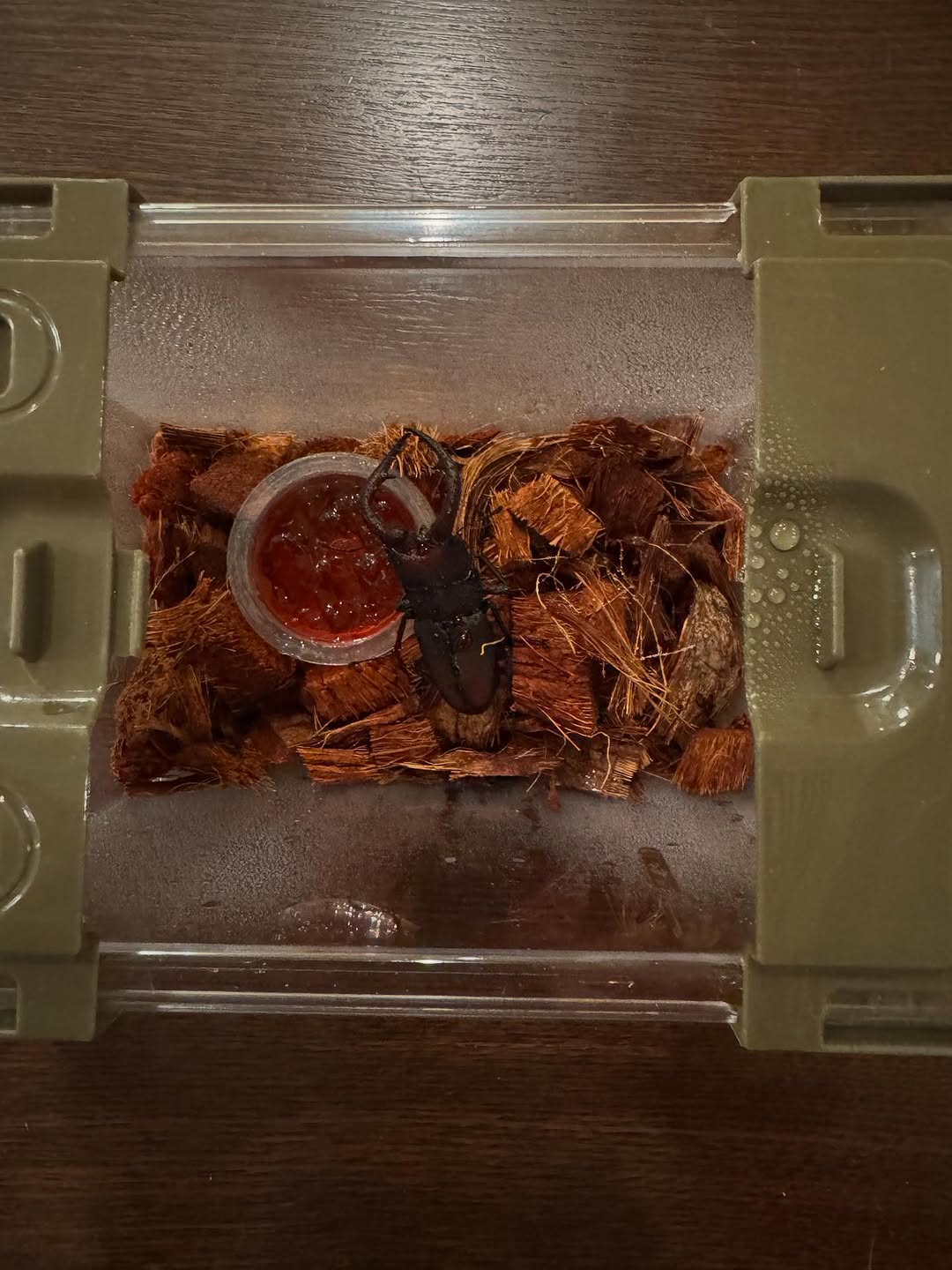 カンニング竹山、保護〇〇の家族入りが「心温まる」と話題