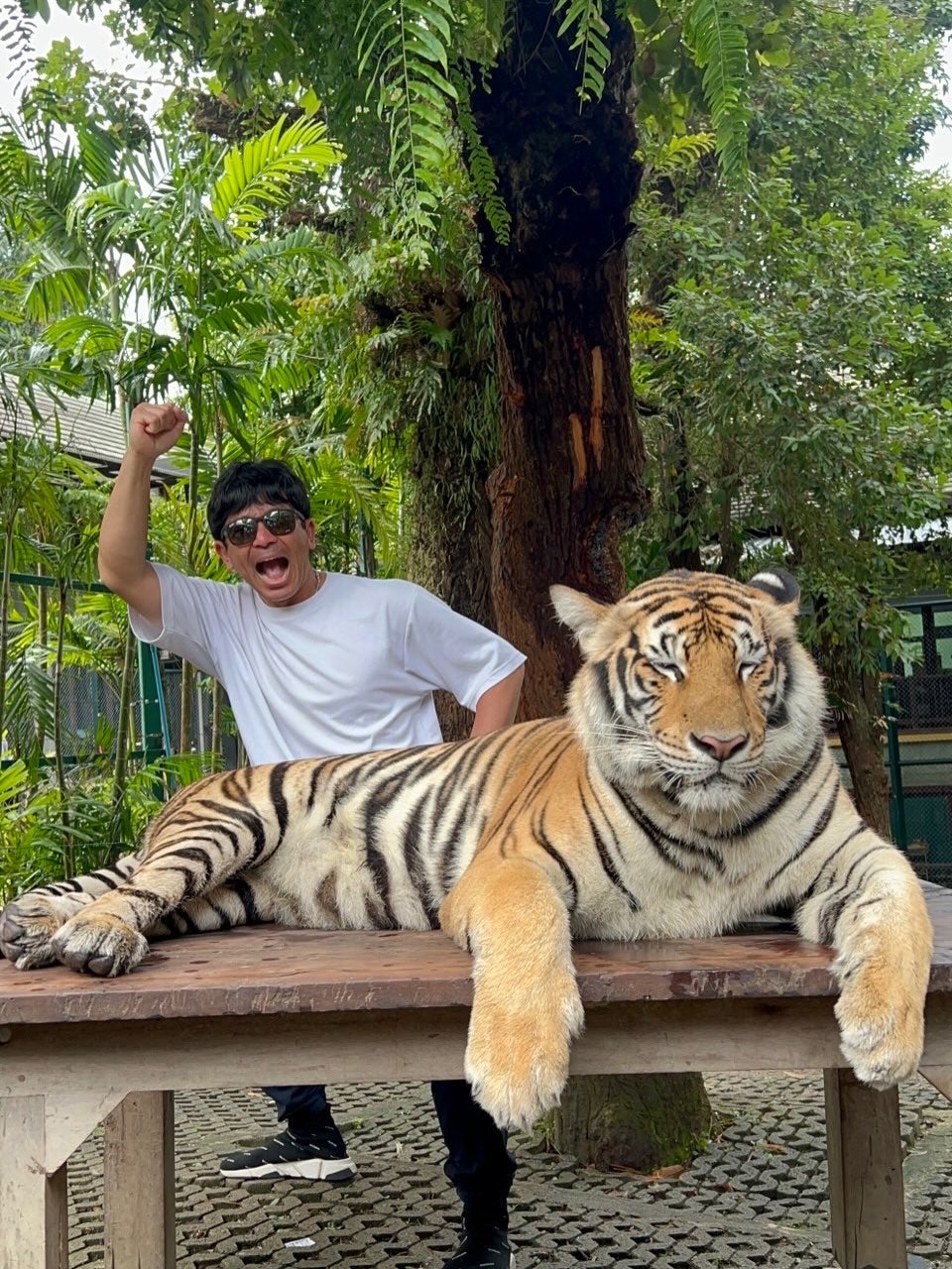 松田宣浩タイで全開「熱男魂」 虎&象との夢ショットに反響