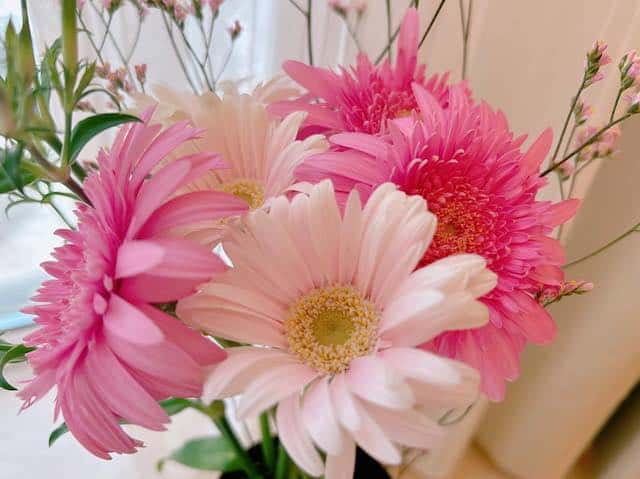 安めぐみが第二子妊娠を報告👶🍼