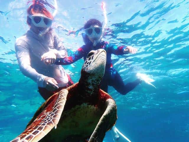東海オンエアてつやが峯岸みなみとシュノーケリングへ「ウミガメと戯れる2人がエモ尊い😍」