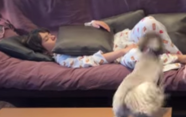 宇野昌磨、パジャマ姿でぐっすりのプライベート動画公開💕愛犬に起こされる様子も🐩