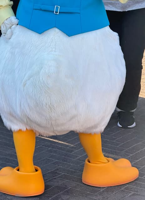 ドナルドのまっしろい◯◯◯にファン大興奮！？中川翔子がディズニーでのオフショットを公開