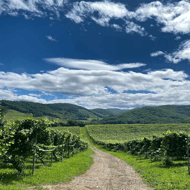 鈴木保奈美のバースデー！北海道の大自然パノラマに触れる