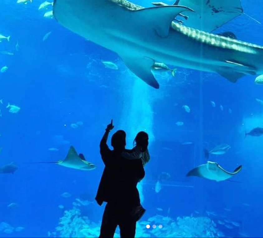 長谷部誠がオフに佐藤ありささんとの娘と水族館へ🐟💖「素敵なお写真😊」