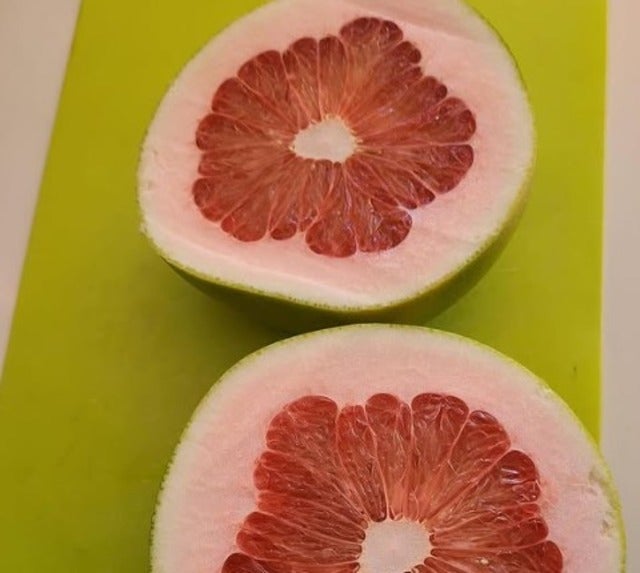 桃井かおりが頂いたハッサクを切ったら美しい模様が！？