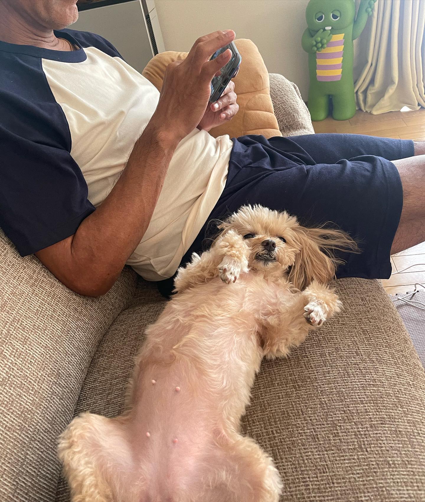 わたし見下されてる！？丸山桂里奈さんが愛犬との日常を投稿🐶