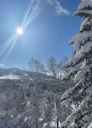 伊東美咲、新年の挨拶「皆様のご健康とご多幸をお祈り申し上げます」