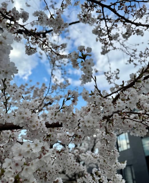 元サッカー日本代表の福西崇史が新年度を迎え「頑張っていこうと思う季節」と意気込む
