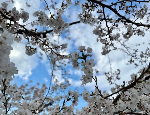 元サッカー日本代表の福西崇史が新年度を迎え「頑張っていこうと思う季節」と意気込む