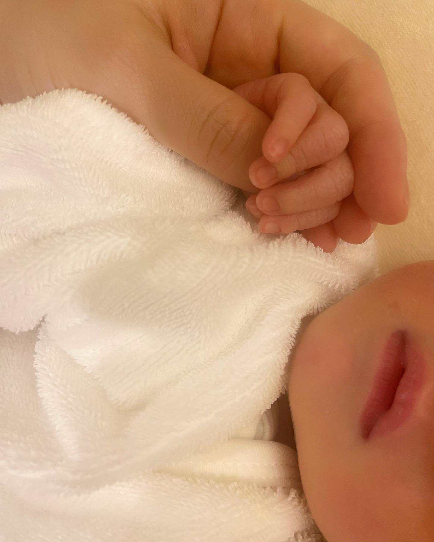 新井恵理那、第一子出産を報告🎉「はじめての子育ては日々勉強することばかり」