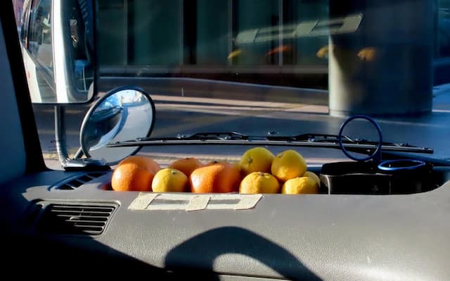 上白石萌音が奈良の風景をインスタグラムにシェア「うららかな春の奈良にて。」