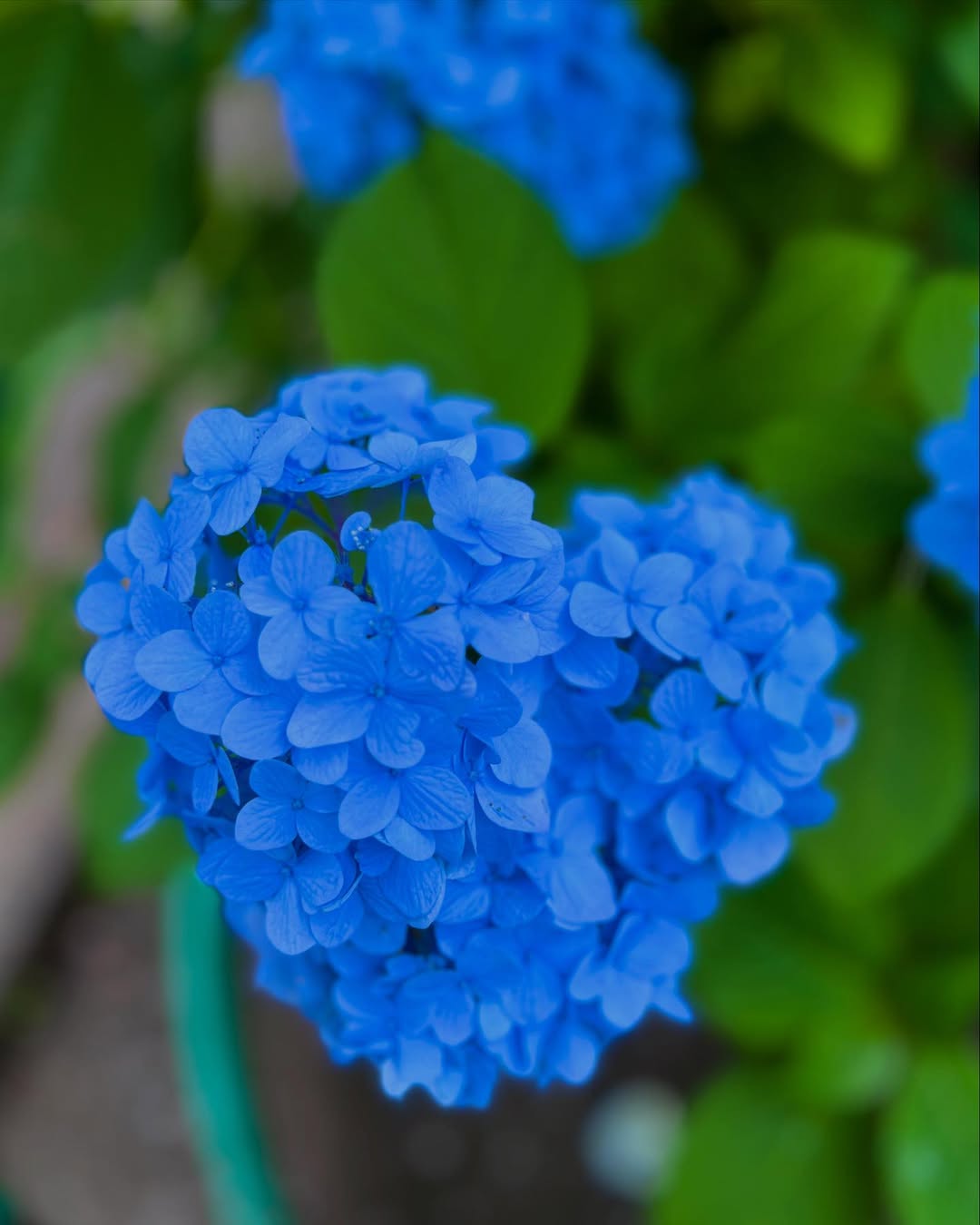 「しんどたのしい」最上もが、合間の時間にキックボクシングに挑戦！