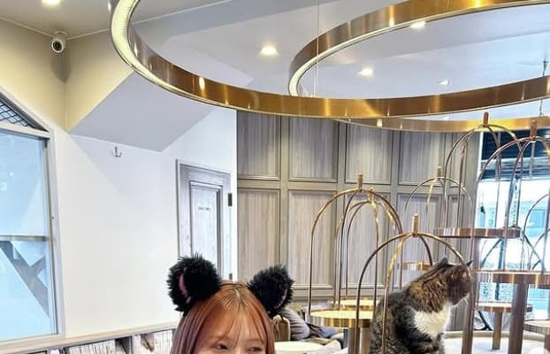 「猫耳こんな似合う人いる？」NiziU MAYUKAの猫カフェ体験にファン悶絶