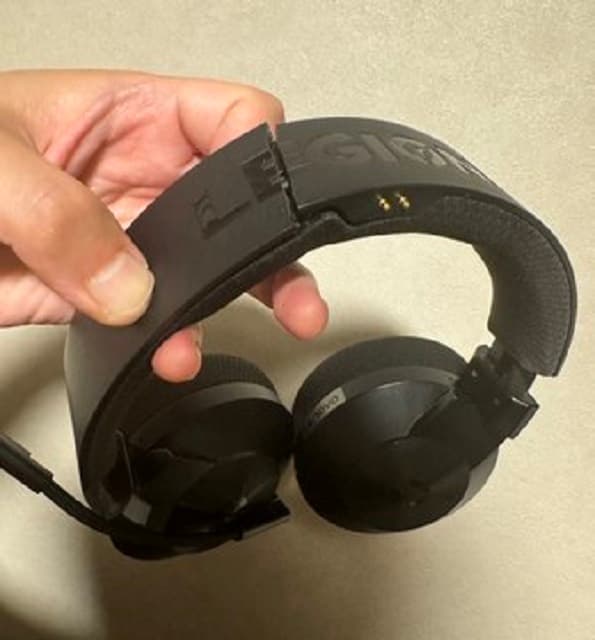 「お逝きになりました。。」狩野英孝が配信のオトモを追悼