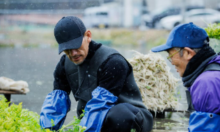 「根まで味わう日本の恵み」中田英寿、宮城・河北せりの魅力を発信