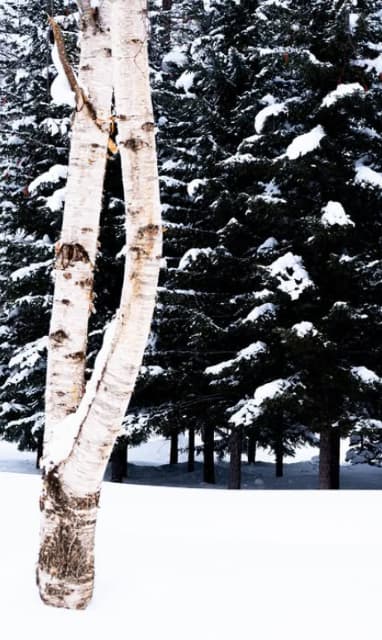 着眼点が凄すぎ！SixTONES・京本大我の写真が「面白くて好き！」「綺麗ですわ」と話題に！