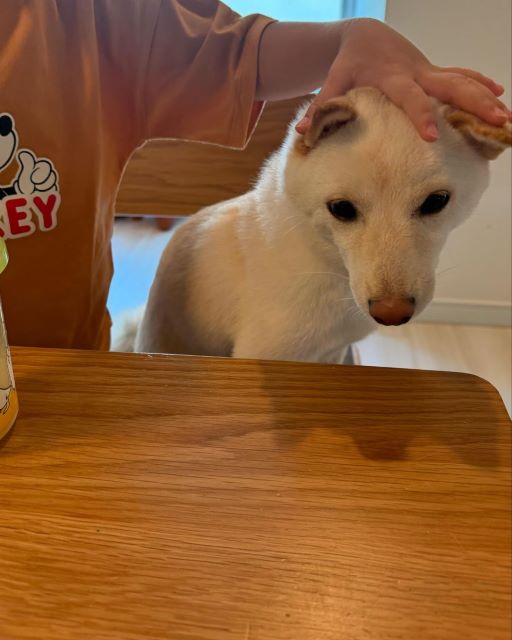 かまいたち山内「愛犬むぎちゃん」虎視眈々で狙うモノとは？