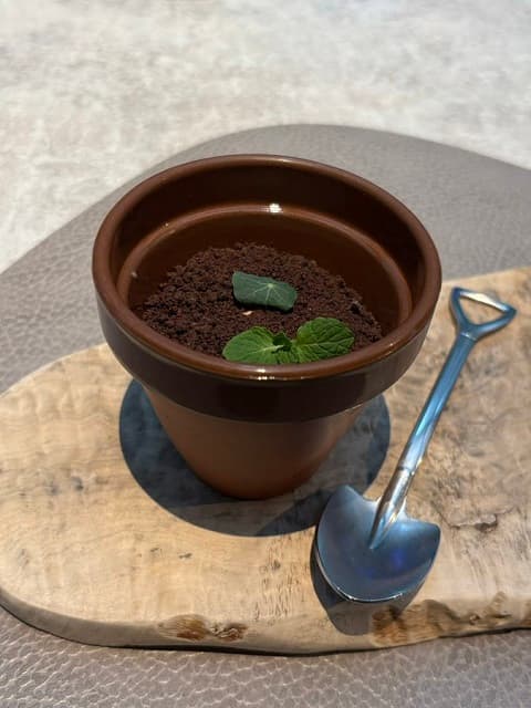 植木鉢じゃないの!?気象キャスター・駒木結衣が写真でクイズ！答えはまさかのスイーツ…？