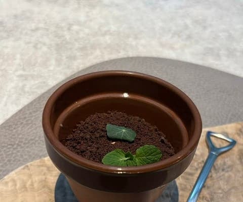 植木鉢じゃないの!?気象キャスター・駒木結衣が写真でクイズ！答えはまさかのスイーツ…？