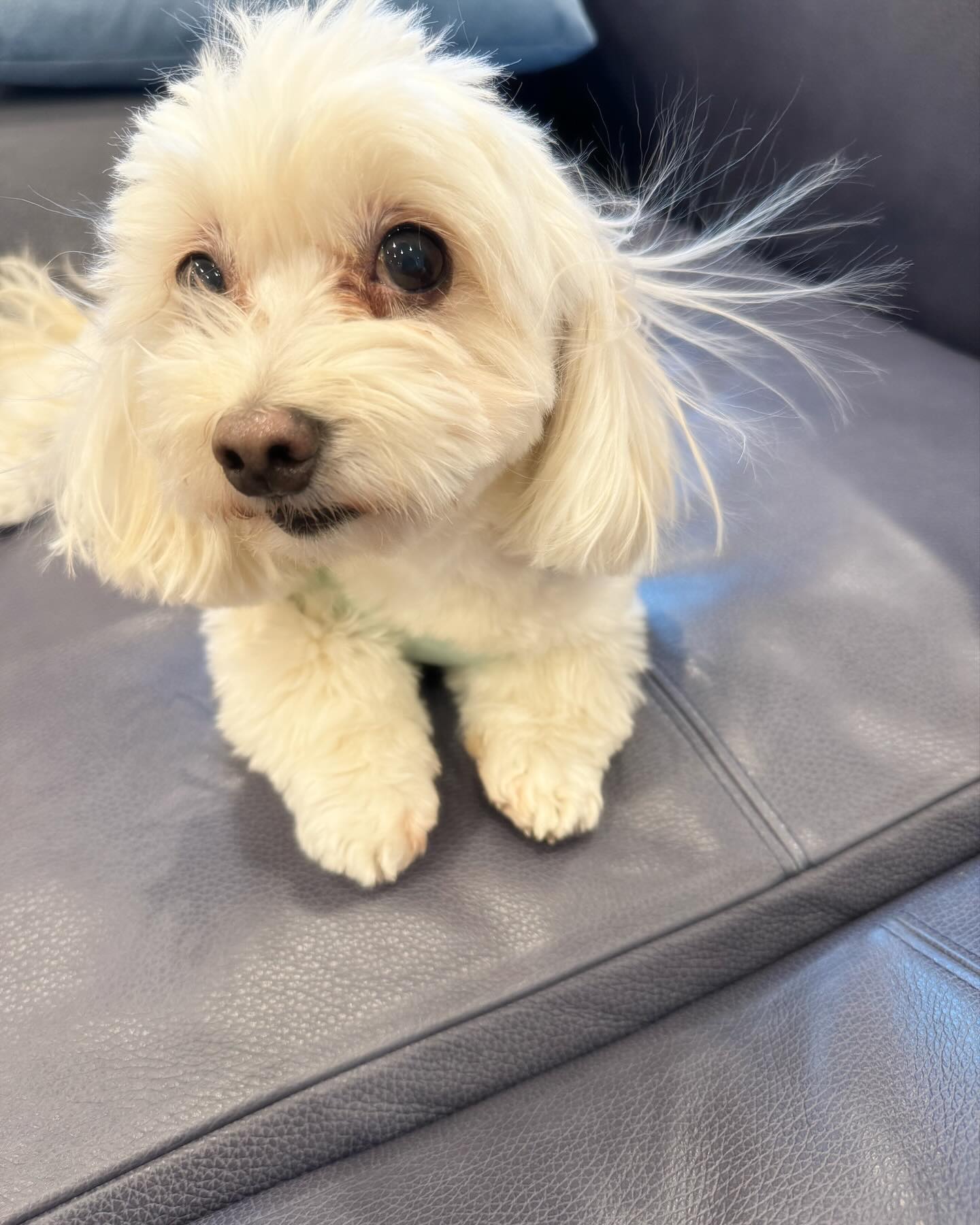 浜田雅功の妻・小川菜摘がキラキラ絵文字で溺愛ぶりを披露した相手は...